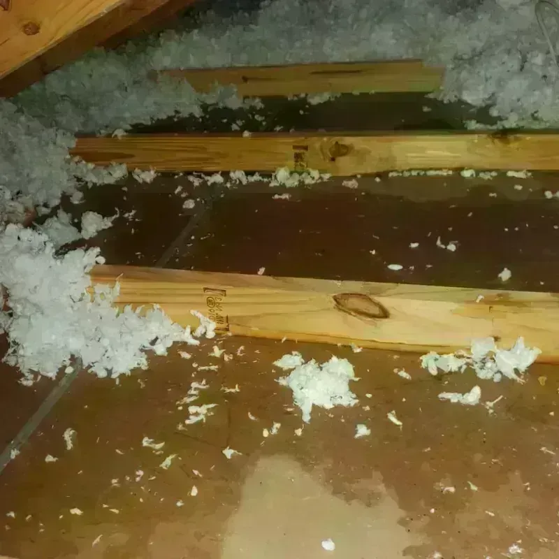 Attic Water Damage in Butler, WI