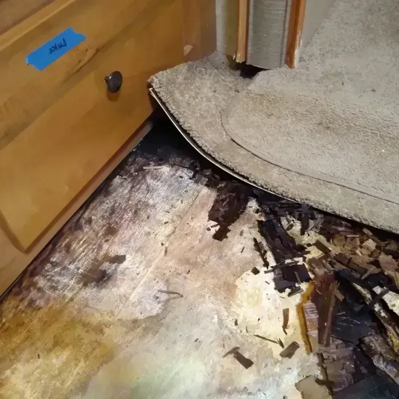 Wood Floor Water Damage in Butler, WI